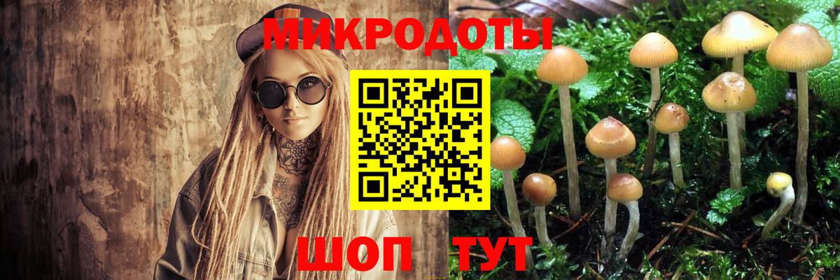 Псилоцибиновые грибы мухоморы  Вход с VPN  Рославль  Псилоцибиновые грибы GOLDEN TEACHER 