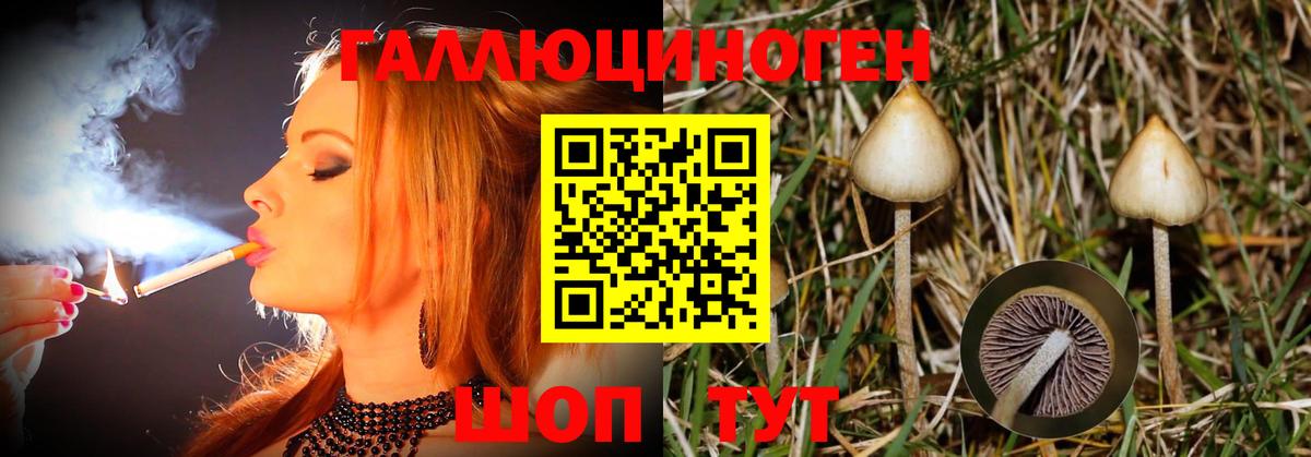 Галлюциногенные грибы мухоморы  Рославль  Галлюциногенные грибы Psilocybe 